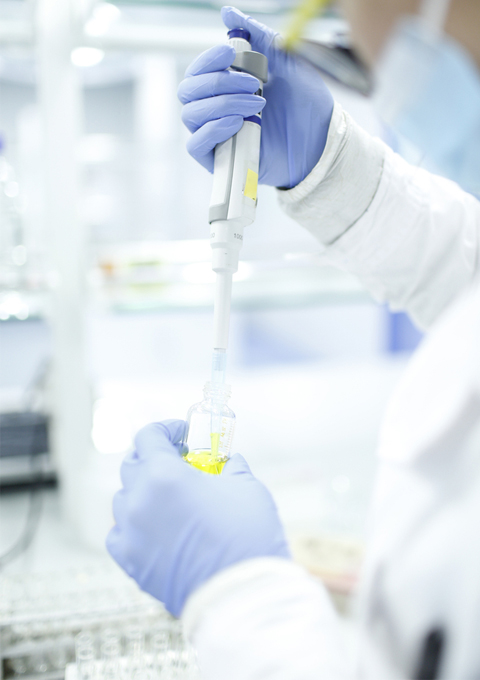 Pruebas microbiol&oacute;gicas