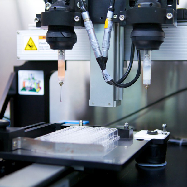 Examen de estabilidad