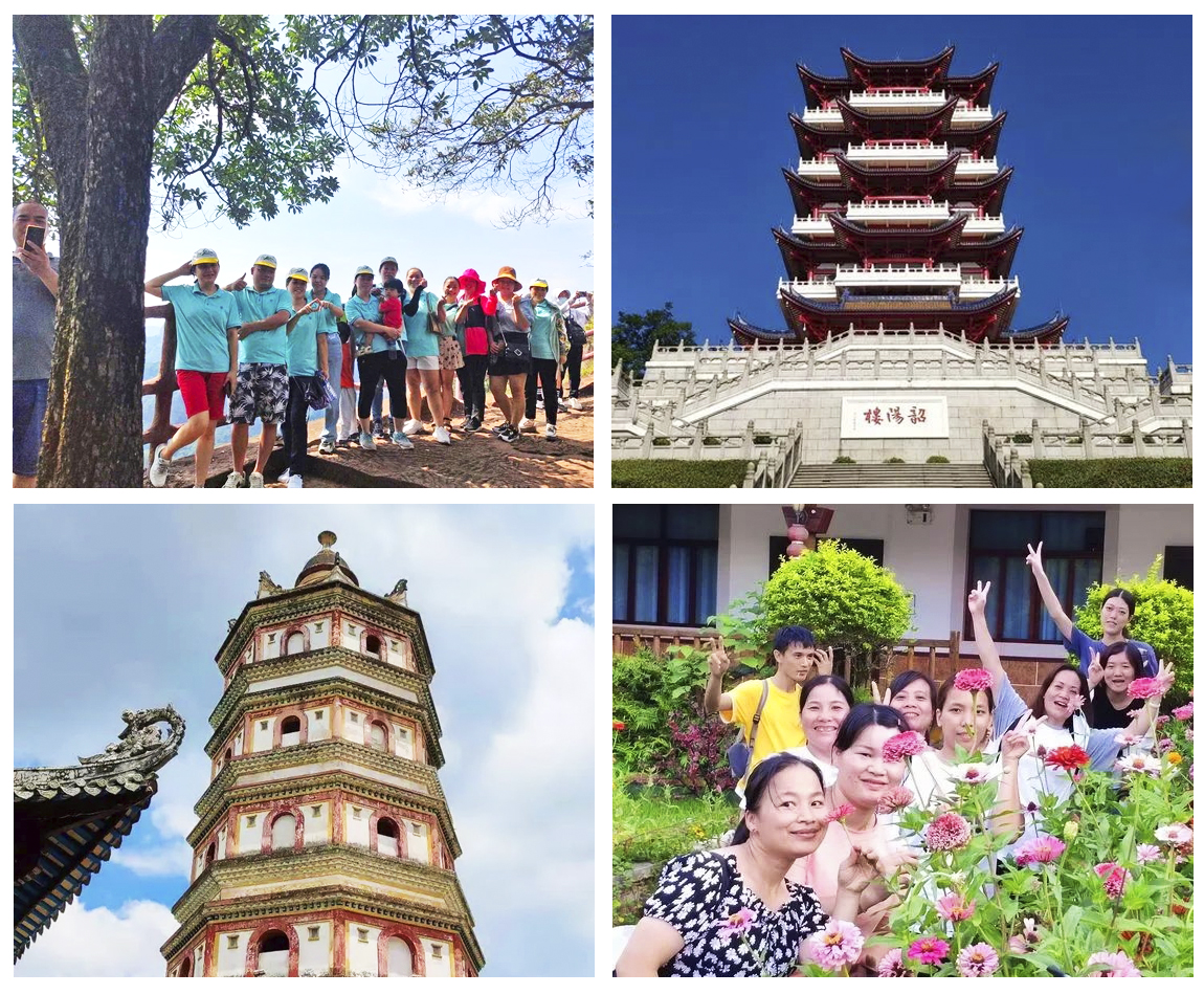 creaci&oacute;n de equipos de cosm&eacute;ticos del Rin